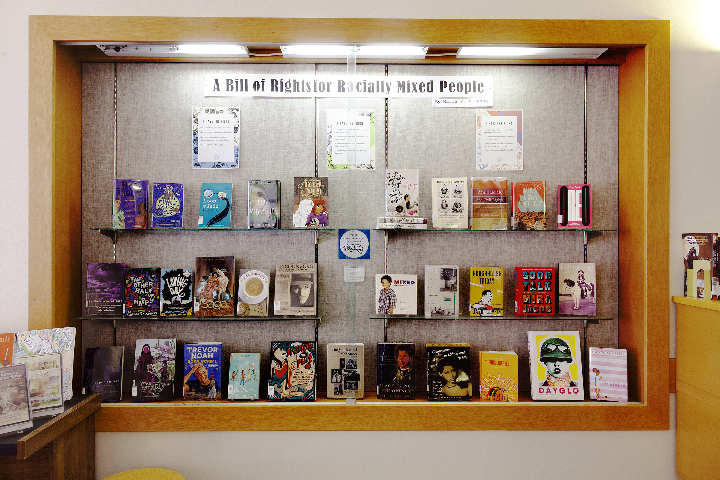 Mixed Lit Library Project displaying  a photo full of books about mixed people and/or with mixed characters